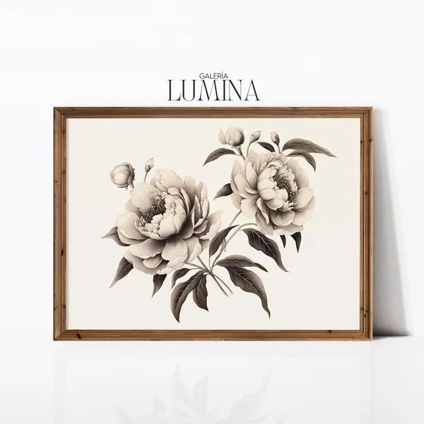 Vintage Peonies Black and White Botanical Art Print