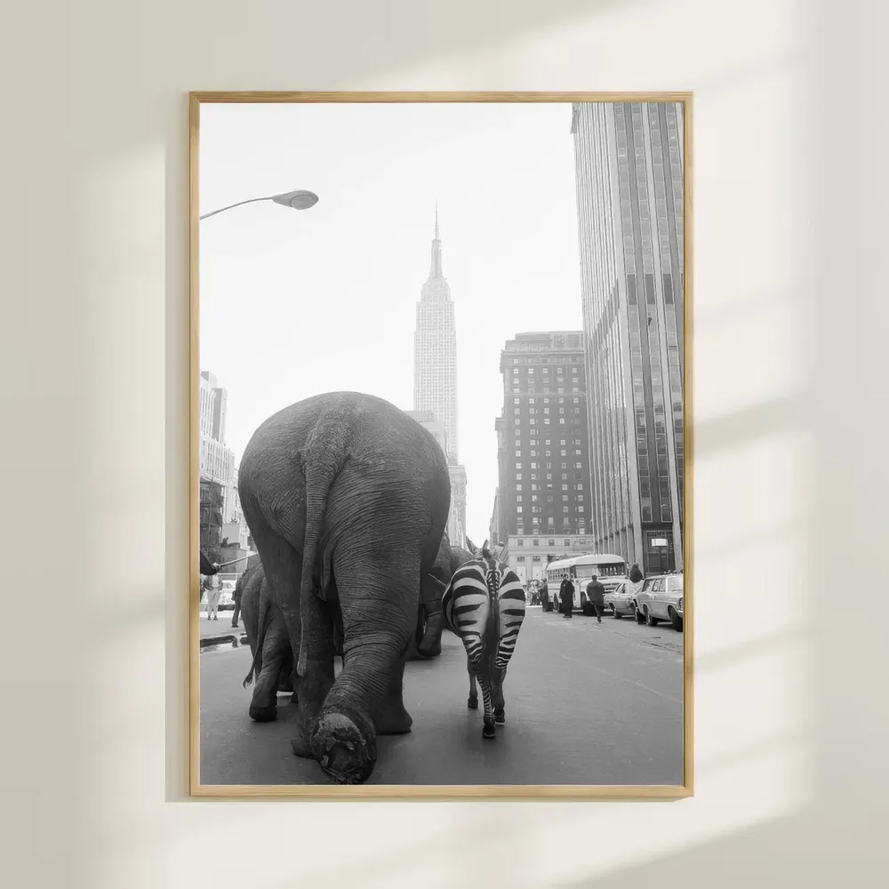 Vintage Circus In New York, Black-And-White Poster Print - Image 2