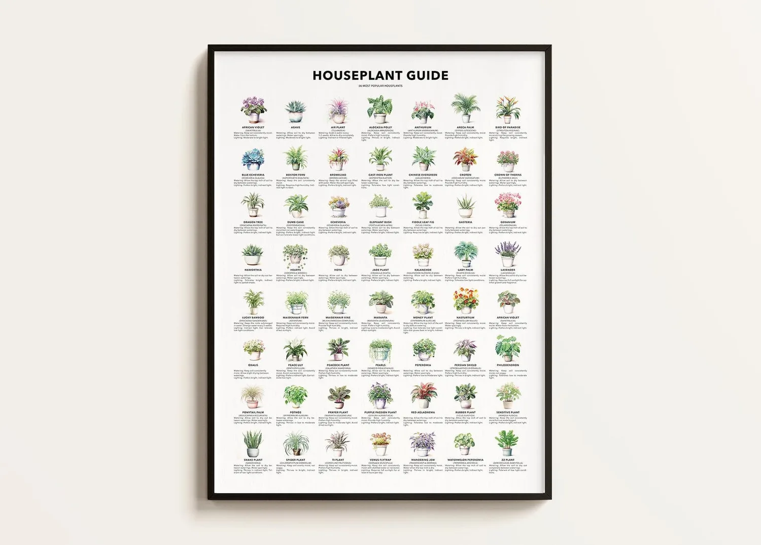 Houseplant Guide, Plant Lover Gift Poster
