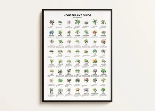 Houseplant Guide, Plant Lover Gift Poster