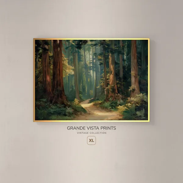 Redwood Forest Path, Landscape Art Print