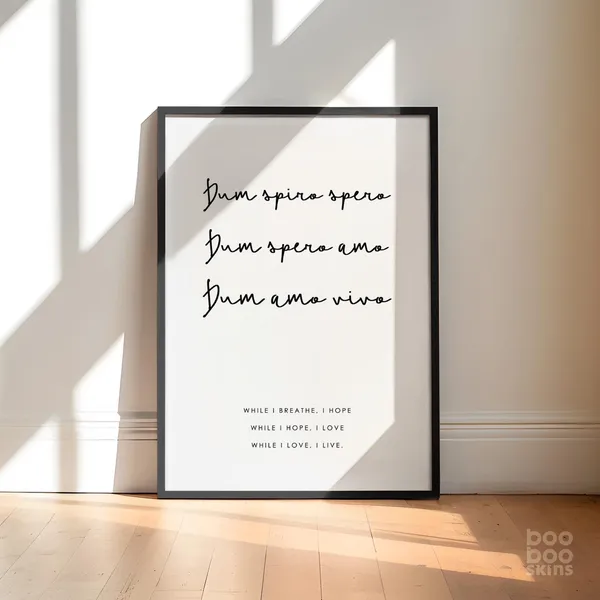 Dum Spiro Spero Scandi Latin Quote Art Print