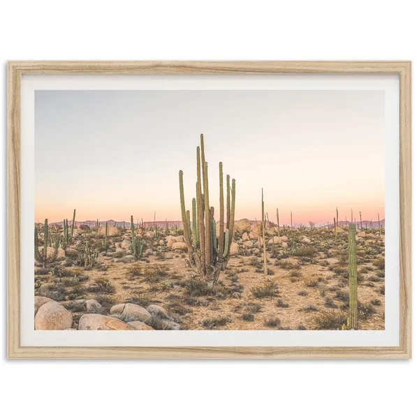 Desert Photography Print, Baja Mexico Southwestern Cactus