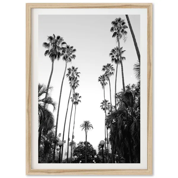 Beverly Hills Los Angeles Palm Trees Travel Poster