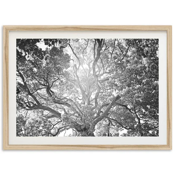 Tree Of Life Art Print, Cottage Core Wall Decor