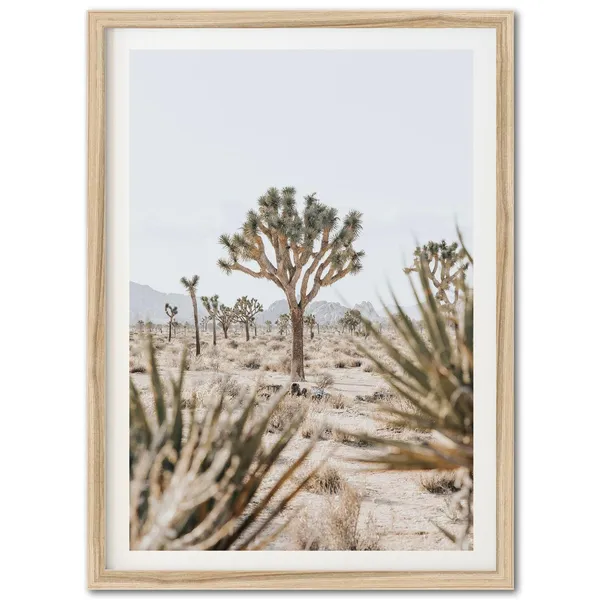 Joshua Tree National Park Desert Art Print