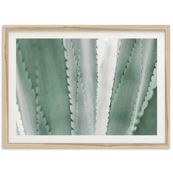 Agave Photography Print, Southwest Kitchen Bar Decor