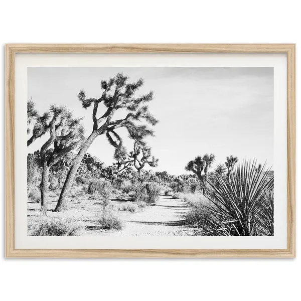 Joshua Tree Trail Art Print, Desert Landscape