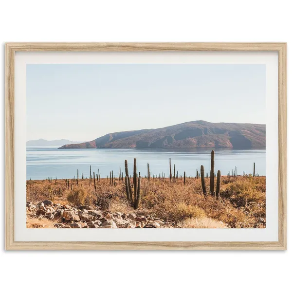 Baja La Paz Mexico Desert Ocean Cactus Art Print