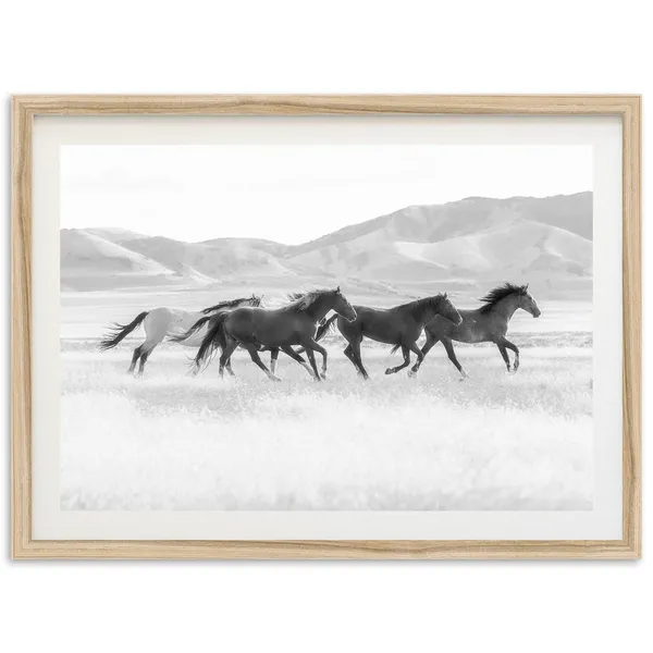 Black And White Horses Art Print, Mountain Landscape