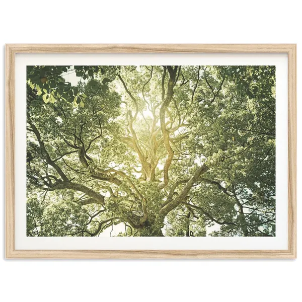 Tree Of Life Art Print, Cottage Core Decor