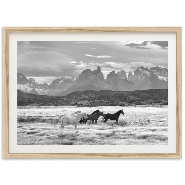 Wild Horses Black And White Vintage Art Print