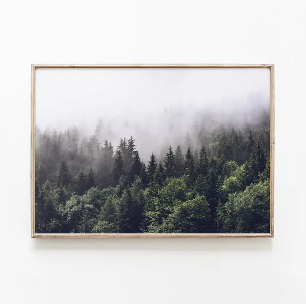Dark Forest Pine Trees, Nature Landscape Art Print