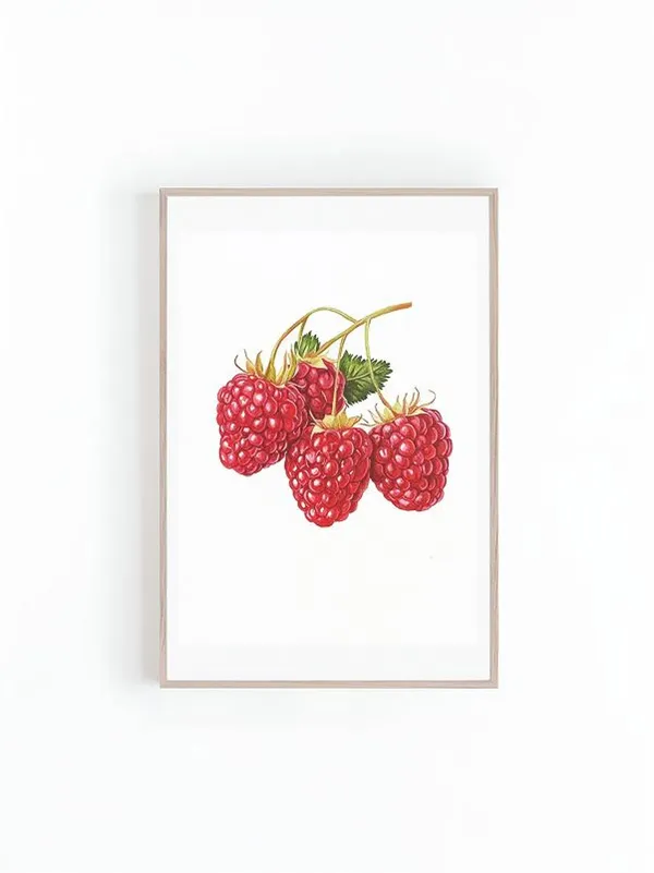Raspberries Botanical Illustration, Kitchen Art Print