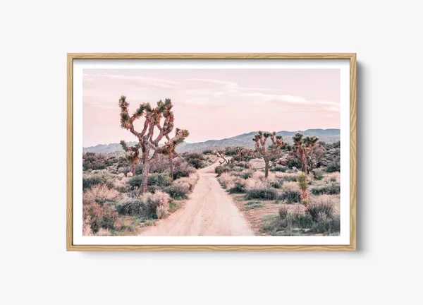 Joshua Tree - Desert Landscape Photography