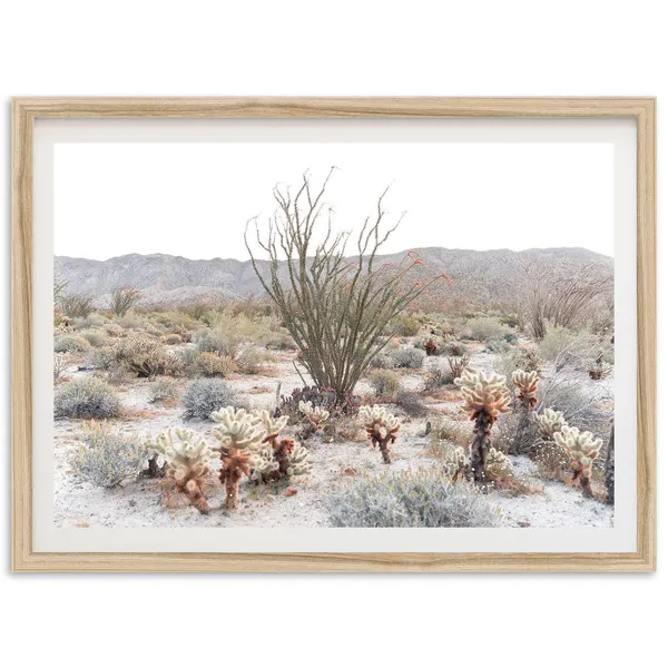 Desert Photography Print, Southwest Cactus Landscape