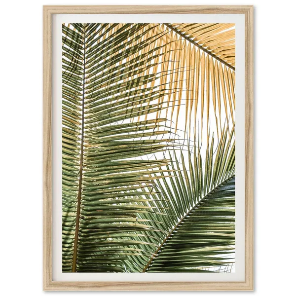 Coastal Boho Palm Tree Leaves Art Print