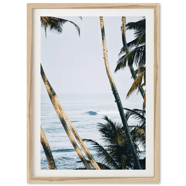 Tropical Surf Print, Ocean Beach Palm Trees