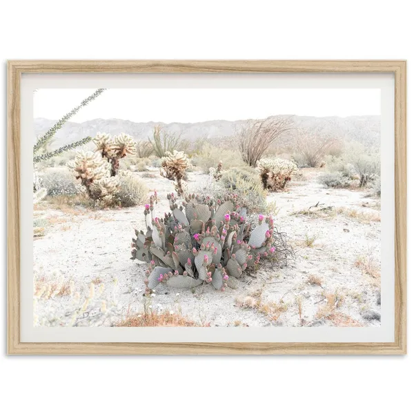 Anza-Borrego Desert Superbloom Art Print