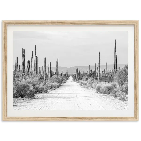 Baja Desert Black And White Cactus Road Art Print