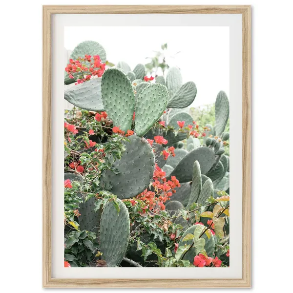 Cactus Flowers Boho Art Print, Beach Desert Decor