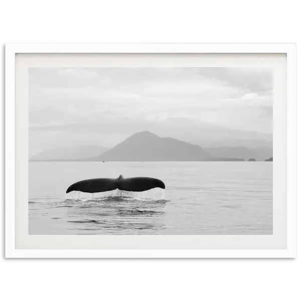 Ocean Whale Art Print, Black And White Coastal Decor