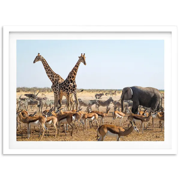 Safari Wildlife Nursery Animals Nature Art Print