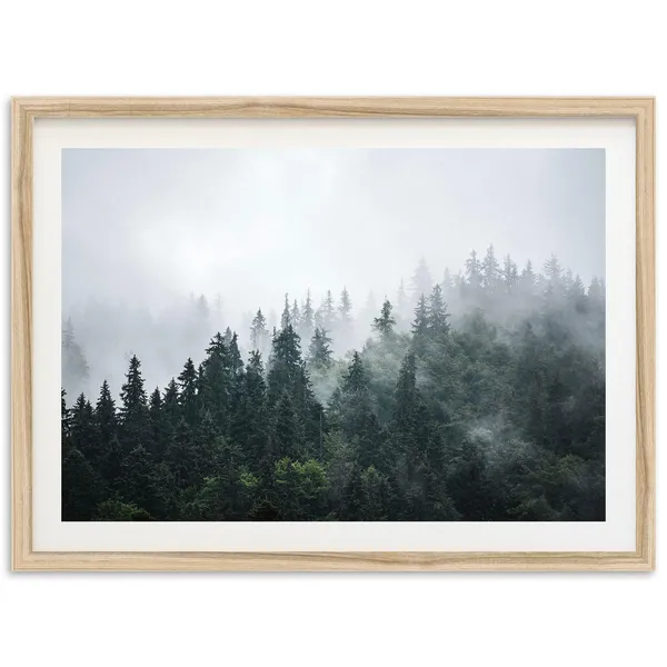 Foggy Forest Photography Art Print, Nature Landscape