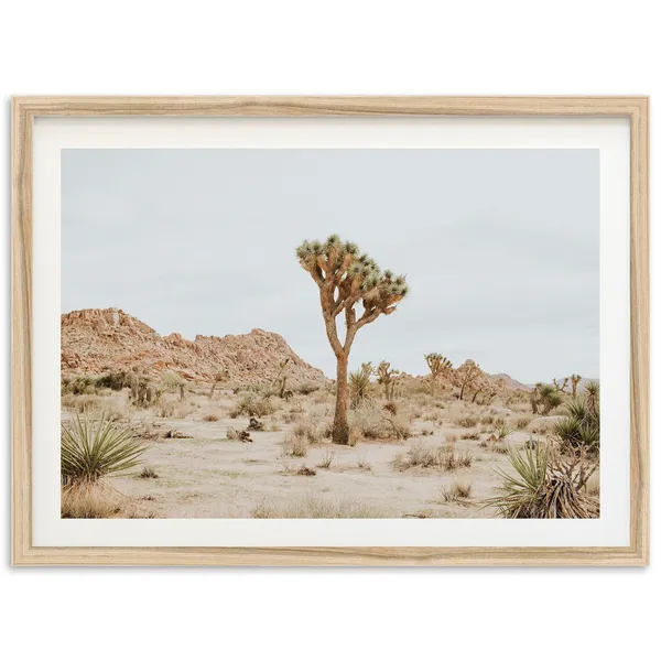 Joshua Tree Desert Southwest Art Print