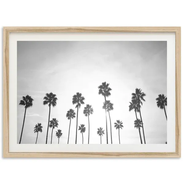 Swamis Encinitas San Diego Palm Trees Travel Poster