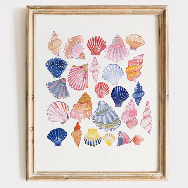 Seashell Collection Coastal Bathroom Art Print
