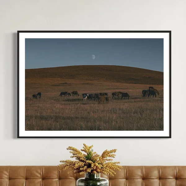 Mongolian Wild Horses Art Print