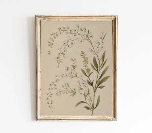 Botanical Sketch Vintage Farmhouse Art Print