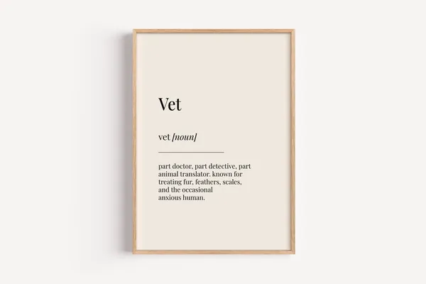 Vet Definition Dictionary Poster, Funny Gift For Him Her