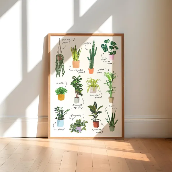 Botanical Houseplant Illustration Art Print