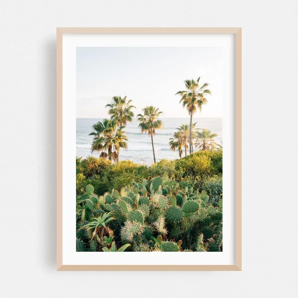 Laguna Beach Coastal Palm Tree Travel Poster