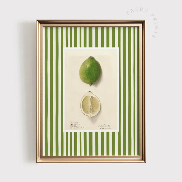 Lime Citrus Print, Modern Farmhouse Kitchen Art