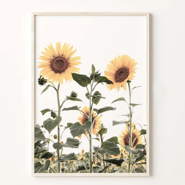 Sunflower Farmhouse Art Print, Rustic Floral Wall Art