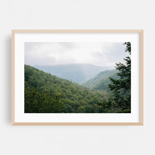 New York Nature Landscape Art Print, Autumn Forest