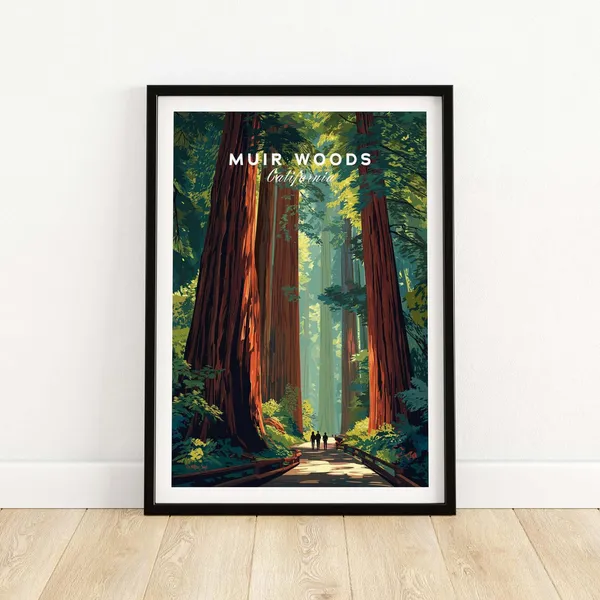 Muir Woods Poster, Redwood Forest Nature Scene