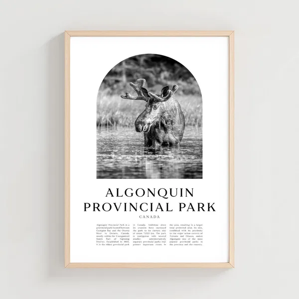 Algonquin Provincial Park Travel Poster, Canada