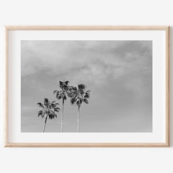 Black And White Palm Tree Newport Beach Art Print