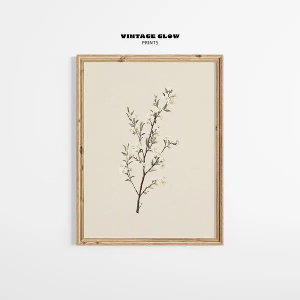 Antique Manuka Plant Vintage Botanical Art Print