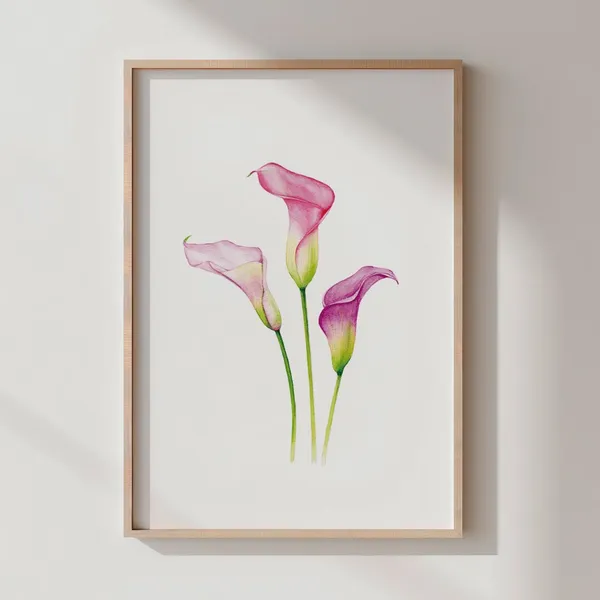 Calla Lily Watercolor Print, Elegant Floral Art