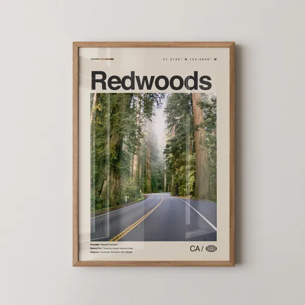 Redwoods Print, Redwood National Park Travel Poster