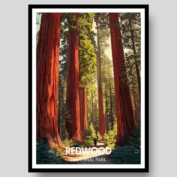 Redwood National Park Travel Poster, US Parks