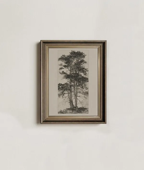 Vintage Tree Etchings, Farmhouse Gallery Wall Set