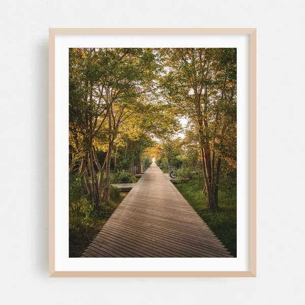 Fire Island Print, New York Autumn Landscape