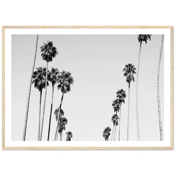 Black And White Minimalist Palm Trees Art Print