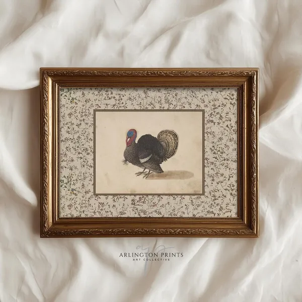 Vintage Thanksgiving Turkey Art Print, Rustic Farmhouse